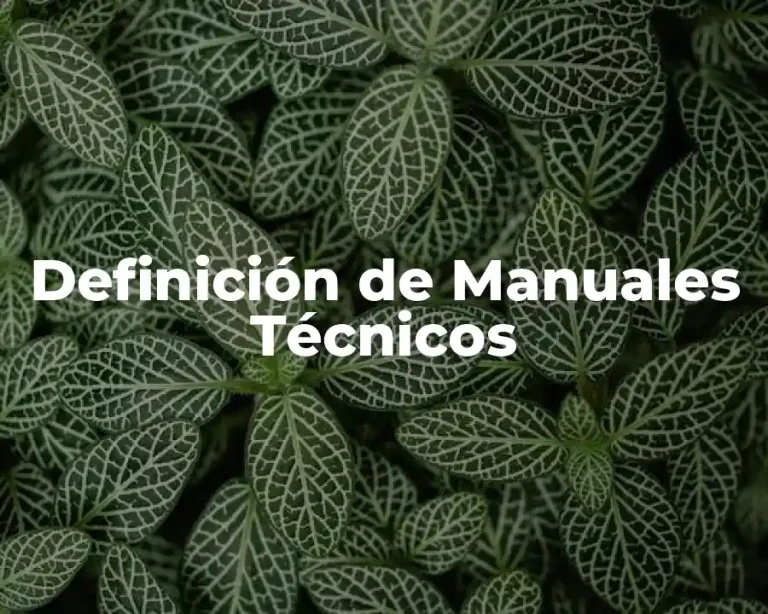 Definición de Manuales Técnicos