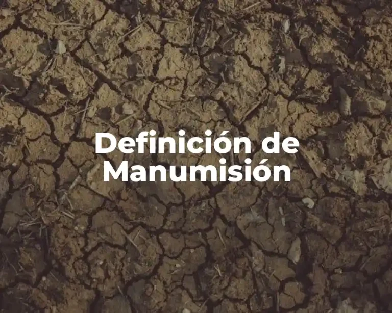 Definición de Manumisión