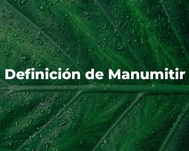 Definición de Manumitir