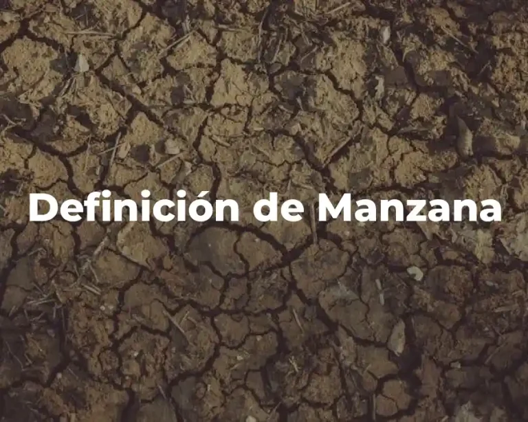 Definición de Manzana