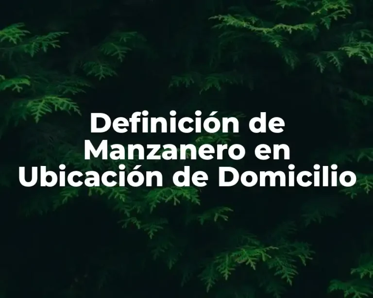 Definición de Manzanero en Ubicación de Domicilio