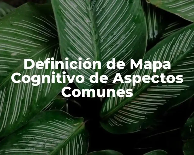 Definición de Mapa Cognitivo de Aspectos Comunes