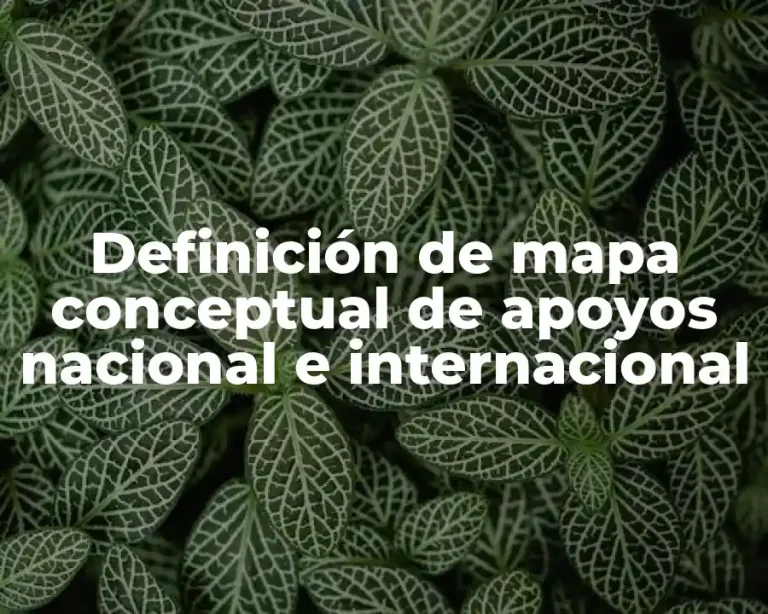 Definición de mapa conceptual de apoyos nacional e internacional