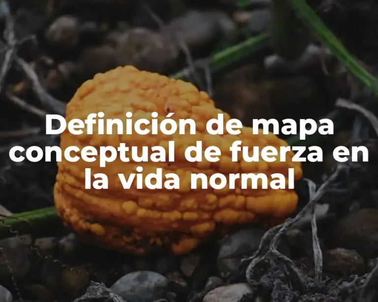 Definición de mapa conceptual de fuerza en la vida normal