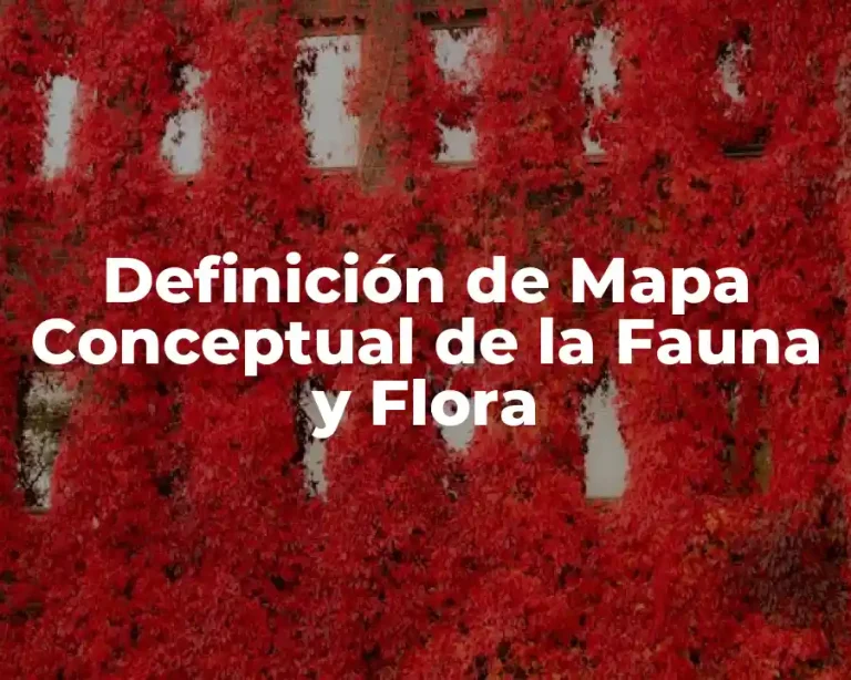 Definición de Mapa Conceptual de la Fauna y Flora