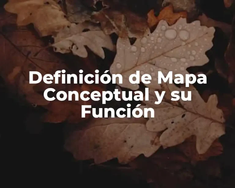 Definición de Mapa Conceptual y su Función