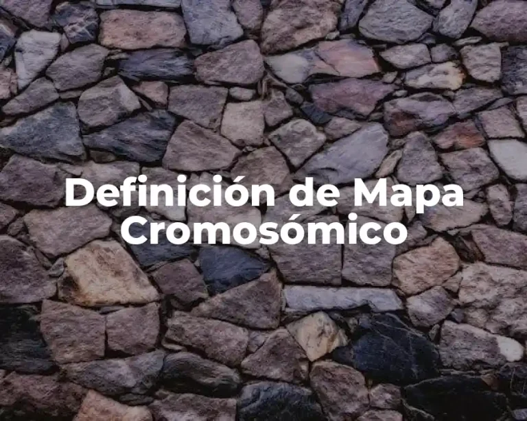 Definición de Mapa Cromosómico