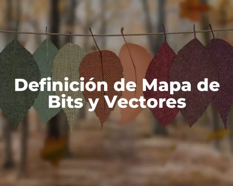 Definición de Mapa de Bits y Vectores