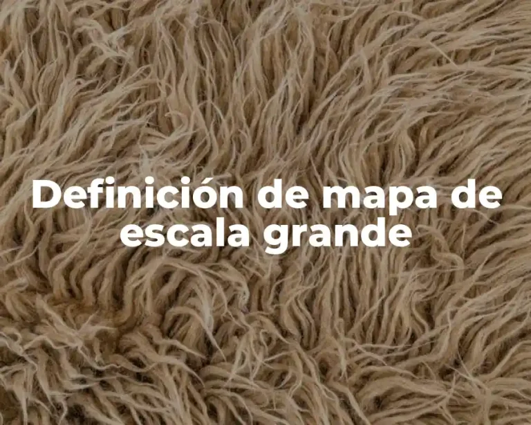 Definición de mapa de escala grande