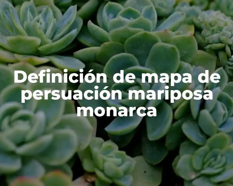 Definición de mapa de persuación mariposa monarca