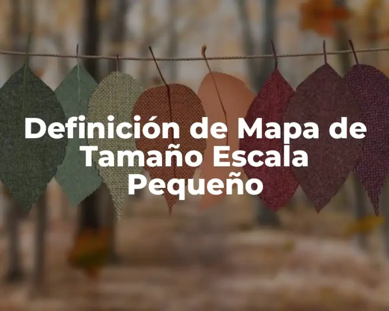 Definición de Mapa de Tamaño Escala Pequeño