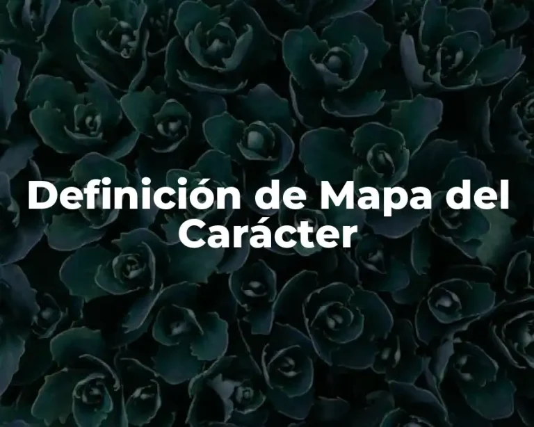 Definición de Mapa del Carácter