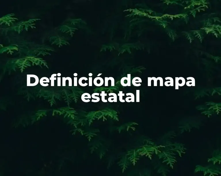 Definición de mapa estatal