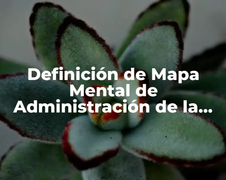 Definición de Mapa Mental de Administración de la Producción