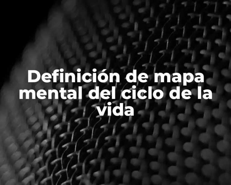 Definición de mapa mental del ciclo de la vida
