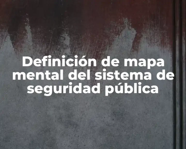 Definición de mapa mental del sistema de seguridad pública