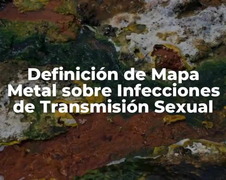 Definición de Mapa Metal sobre Infecciones de Transmisión Sexual