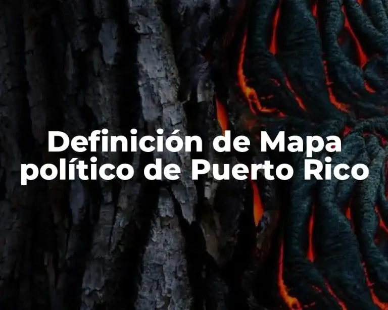 Definición de Mapa político de Puerto Rico