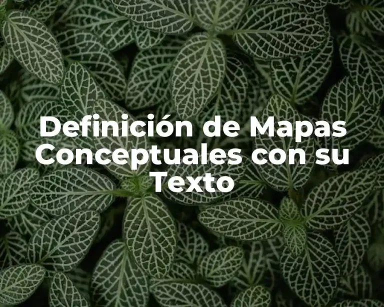 Definición de Mapas Conceptuales con su Texto