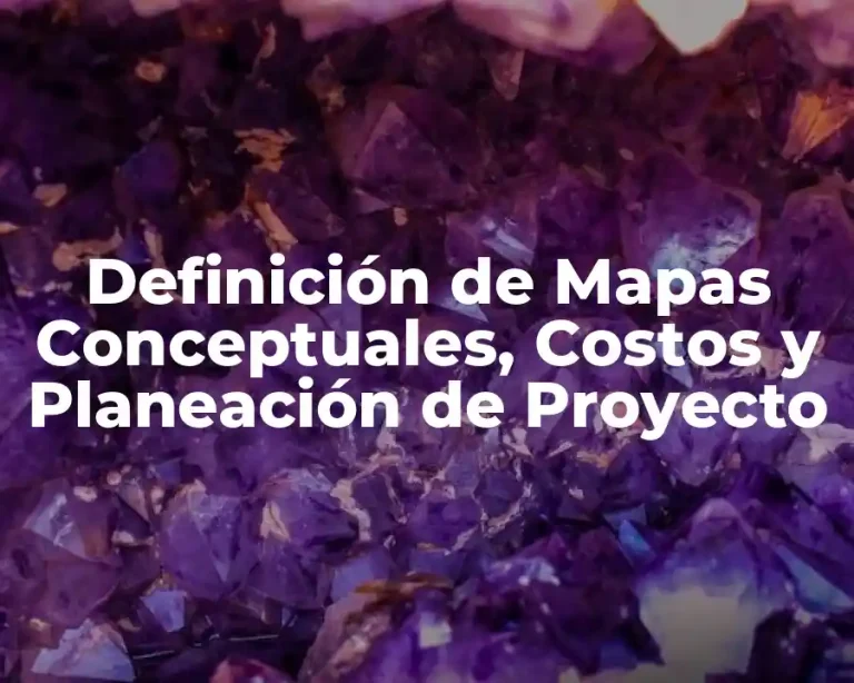 Definición de Mapas Conceptuales, Costos y Planeación de Proyecto