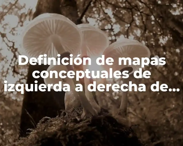 Definición de mapas conceptuales de izquierda a derecha de matemáticas