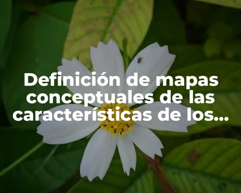 Definición de mapas conceptuales de las características de los proyectos