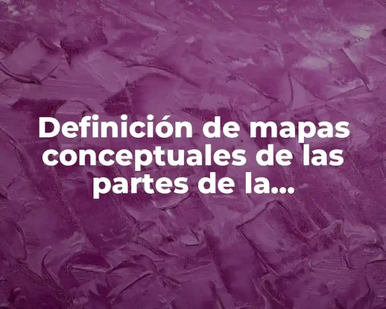 Definición de mapas conceptuales de las partes de la computadora