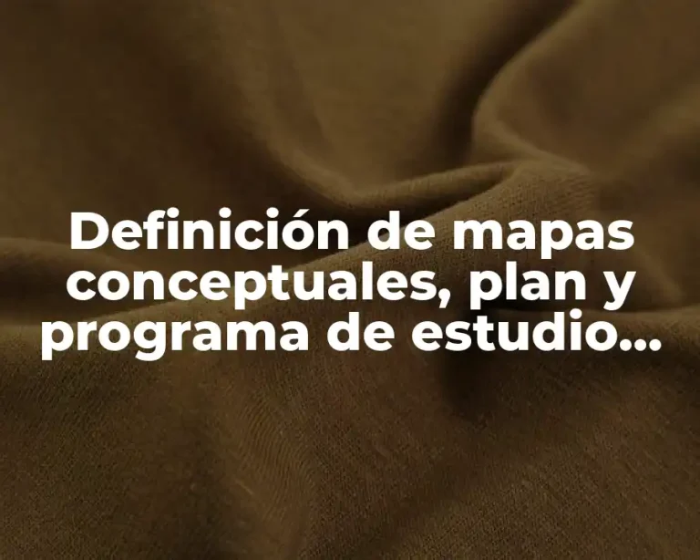 Definición de mapas conceptuales, plan y programa de estudio 2011