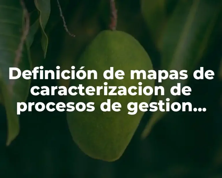 Definición de mapas de caracterizacion de procesos de gestion estrategica