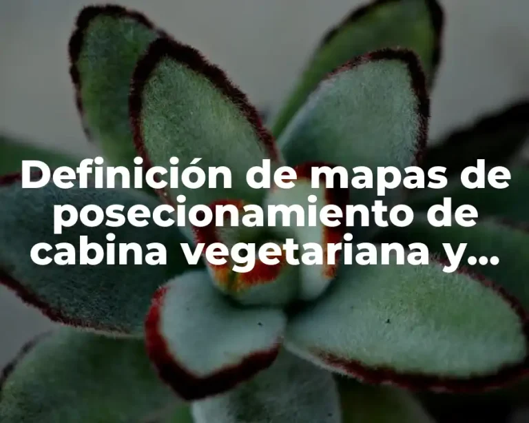 Definición de mapas de posecionamiento de cabina vegetariana y vegana