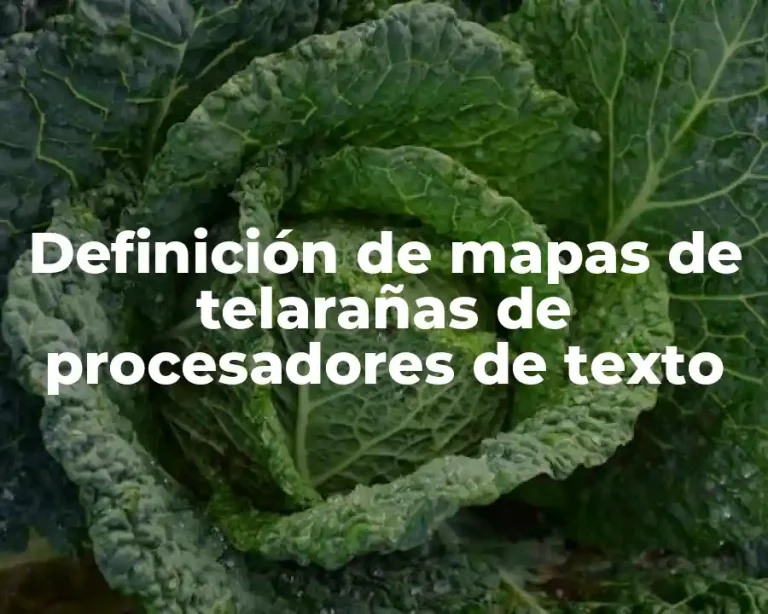Definición de mapas de telarañas de procesadores de texto