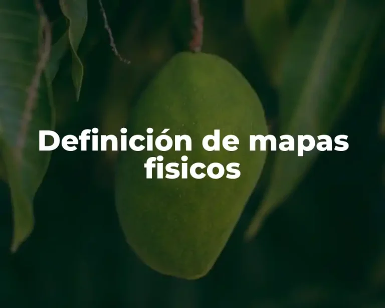 Definición de mapas fisicos