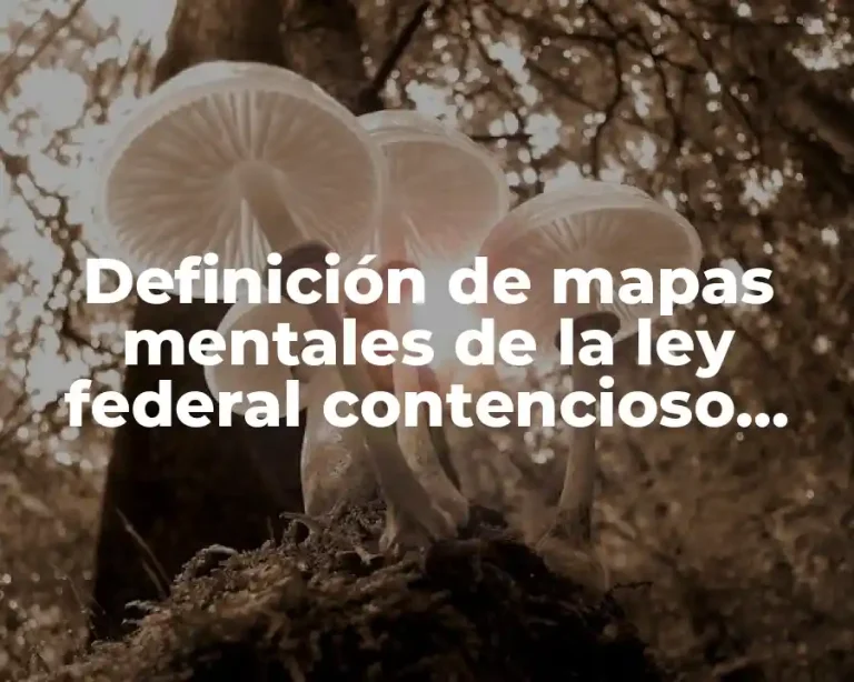 Definición de mapas mentales de la ley federal contencioso administrativo