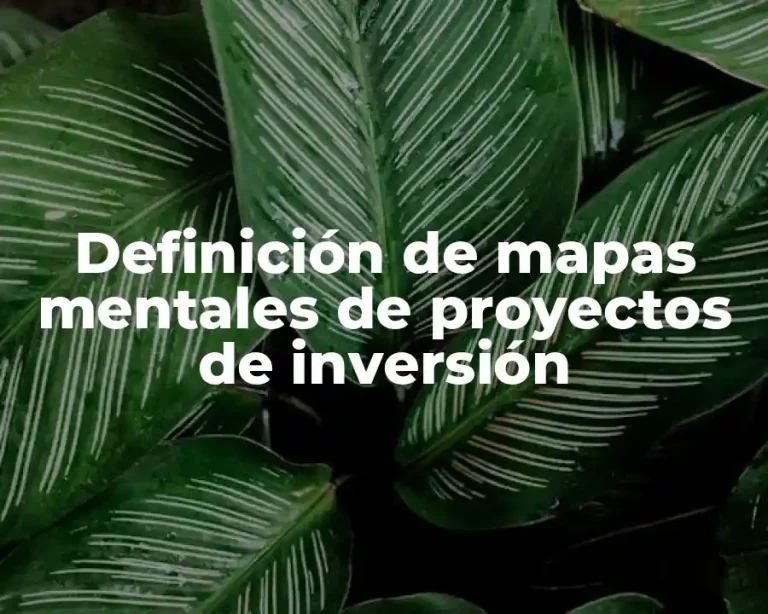 Definición de mapas mentales de proyectos de inversión