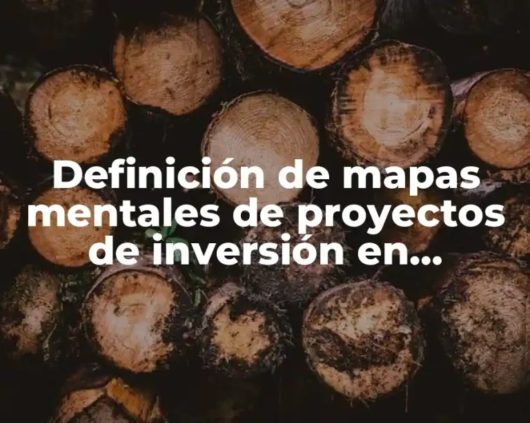 Definición de mapas mentales de proyectos de inversión en ingeniería económica