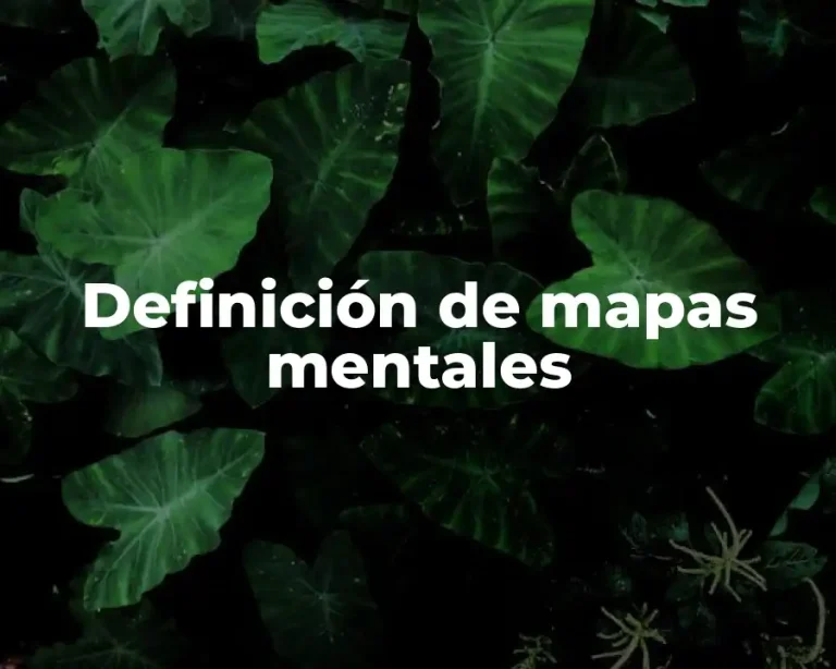 Definición de mapas mentales