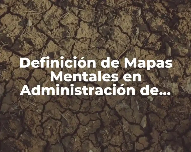 Definición de Mapas Mentales en Administración de Empresas