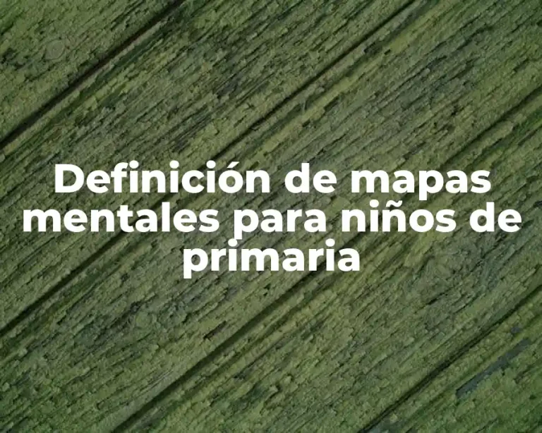 Definición de mapas mentales para niños de primaria
