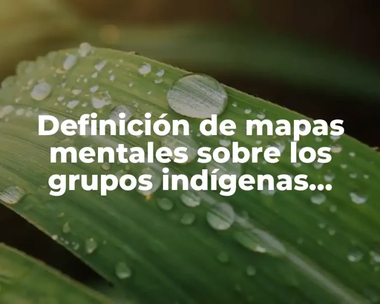 Definición de mapas mentales sobre los grupos indígenas huicholes