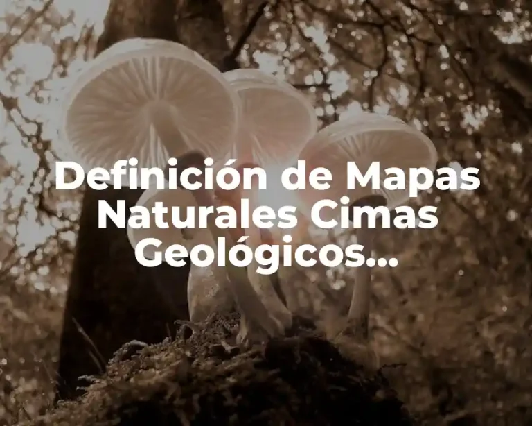 Definición de Mapas Naturales Cimas Geológicos Edafológicos Fisiográficos