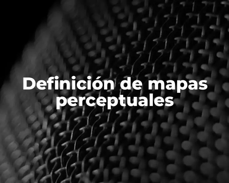 Definición de mapas perceptuales
