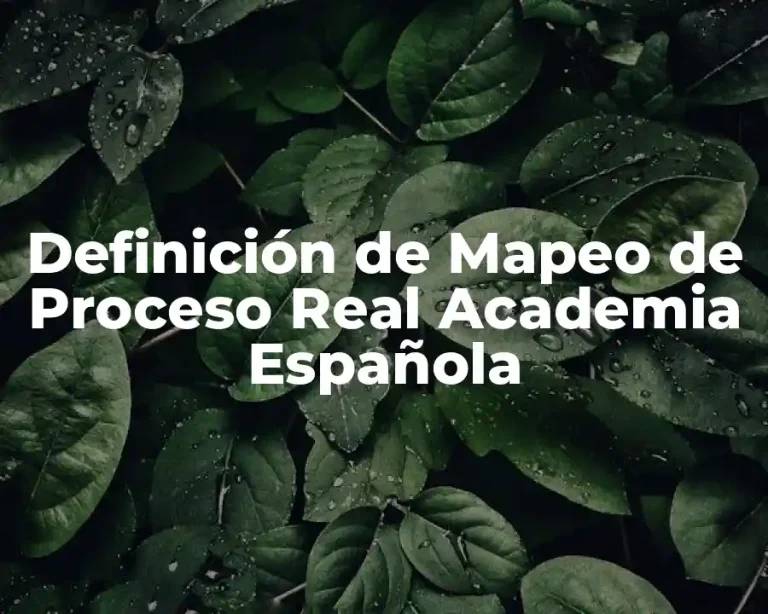 Definición de Mapeo de Proceso Real Academia Española