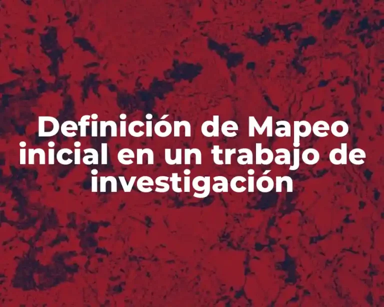 Definición de Mapeo inicial en un trabajo de investigación