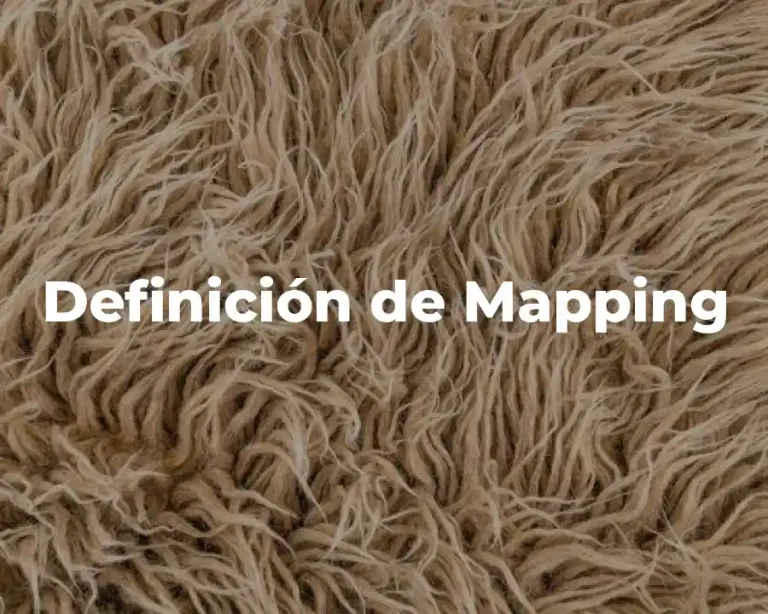 Definición de Mapping