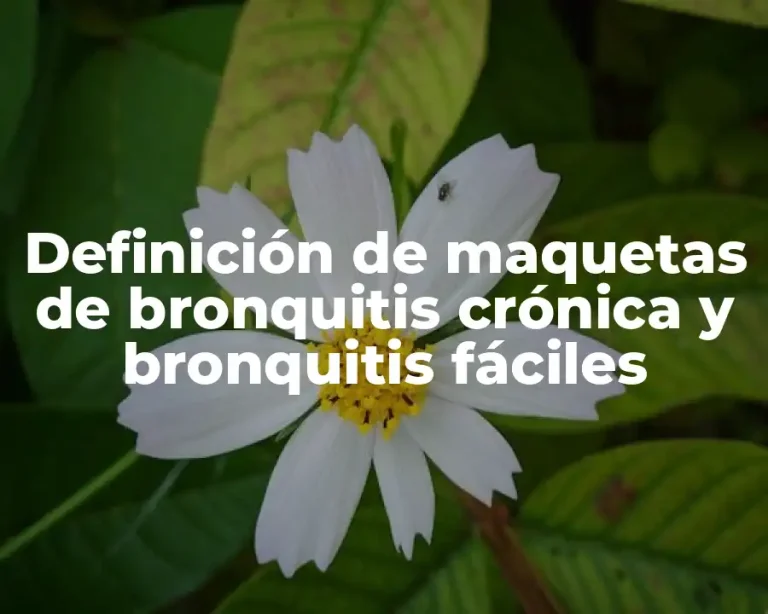Definición de maquetas de bronquitis crónica y bronquitis fáciles