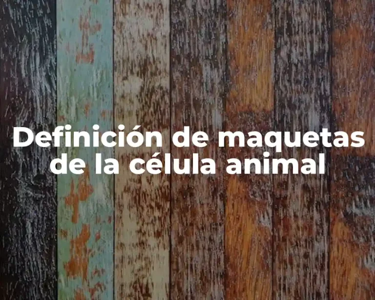 Definición de maquetas de la célula animal