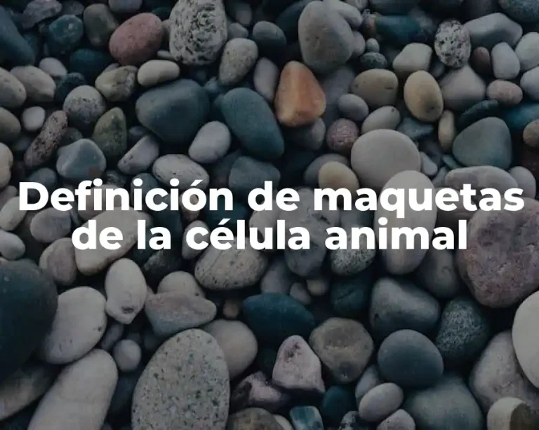 Definición de maquetas de la célula animal
