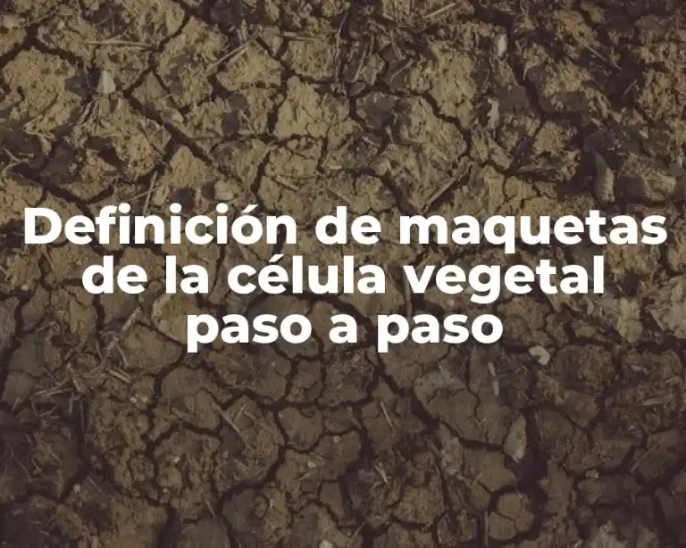 Definición de maquetas de la célula vegetal paso a paso