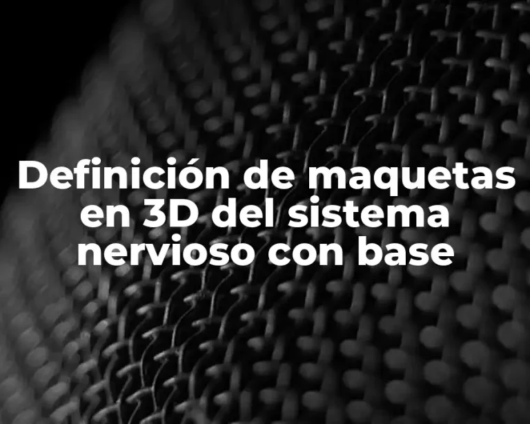 Definición de maquetas en 3D del sistema nervioso con base
