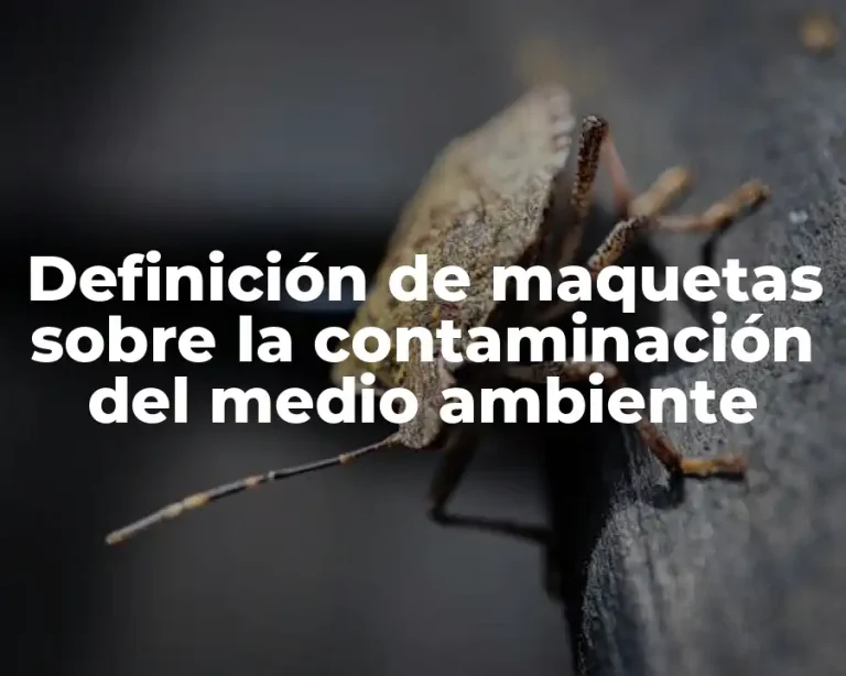 Definición de maquetas sobre la contaminación del medio ambiente